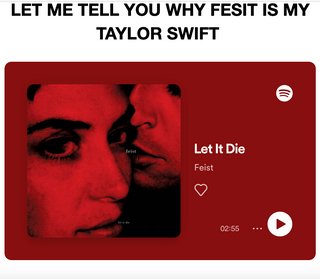Feist is my Taylor Swift