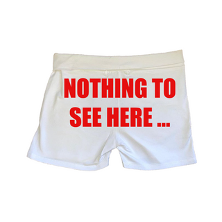 NOTHING TO SEE HERE (THE STORY)